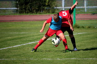 尼斯足球俱乐部取得重要胜利