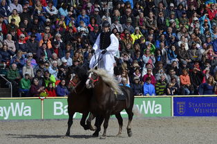 匈牙利队势如破竹，晋级欧洲国家杯半决赛