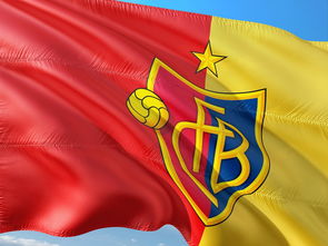 国际比赛中球队取得胜利的好成绩