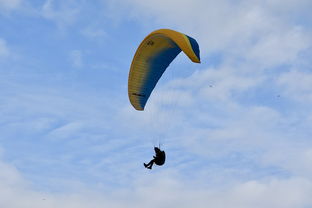 雷霆客场力克老鹰西部第五
