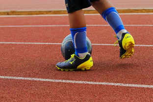 火箭队全力备战新赛季，球员状态火热