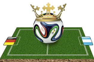 梅西领衔阿根廷队夺得欧洲杯冠军