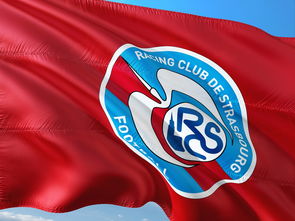 猛龙大胜奇才继续保持不败