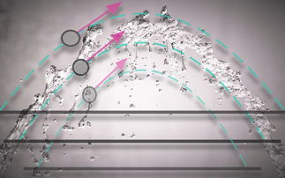 活塞队交易效果显著，助力胜利