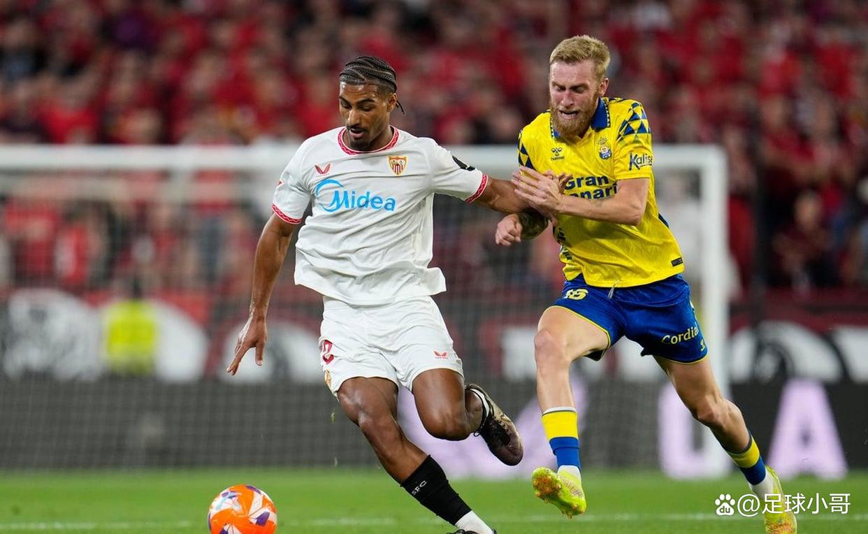 怀尔德将被谢菲联解雇  第1张