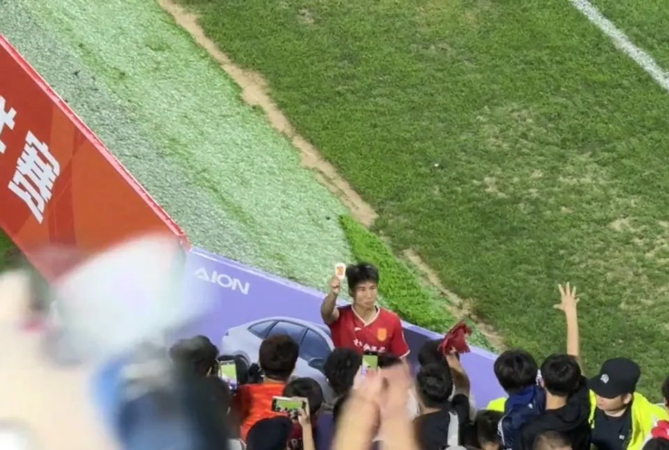 中甲联赛总结！四队成功，三队遗憾！铜梁龙和广州豹表现突出的简单介绍