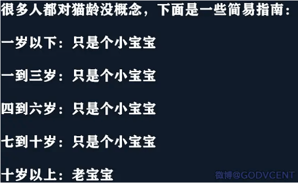 一人一句点评一下godv的简单介绍