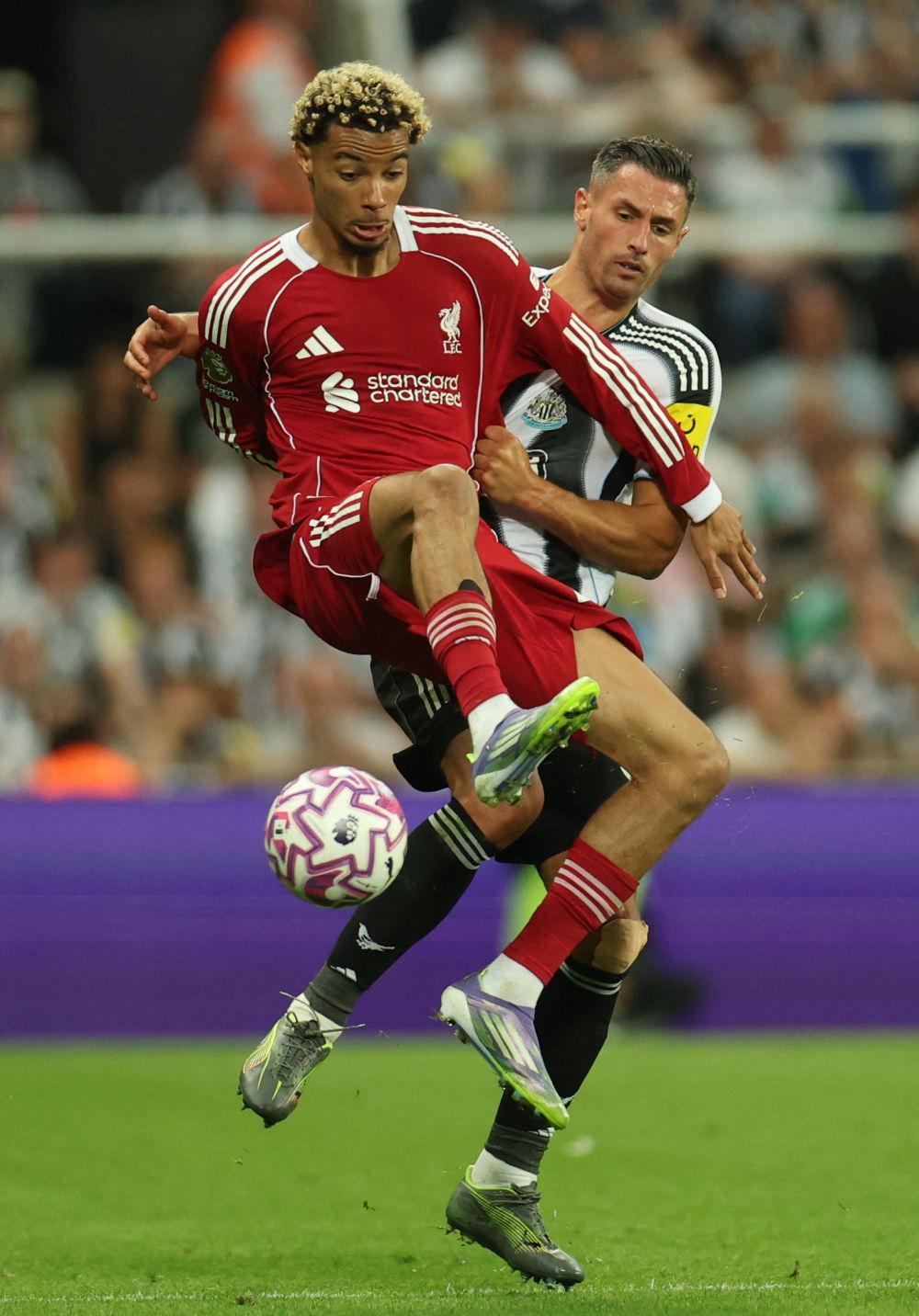 今晚11点利物浦迎战倒数第1：对手面临123年之耻央视直播的简单介绍