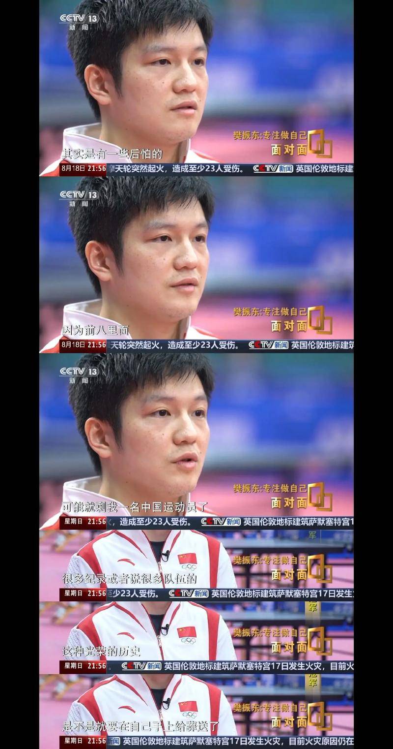 退世界排名一年后，樊振东陈梦没想到，央视为他俩“出了一口气”的简单介绍