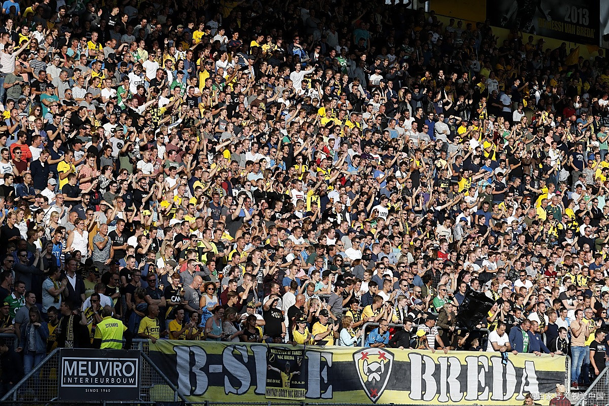 关于多特蒙德——胎死腹中的“克洛普王朝”的信息