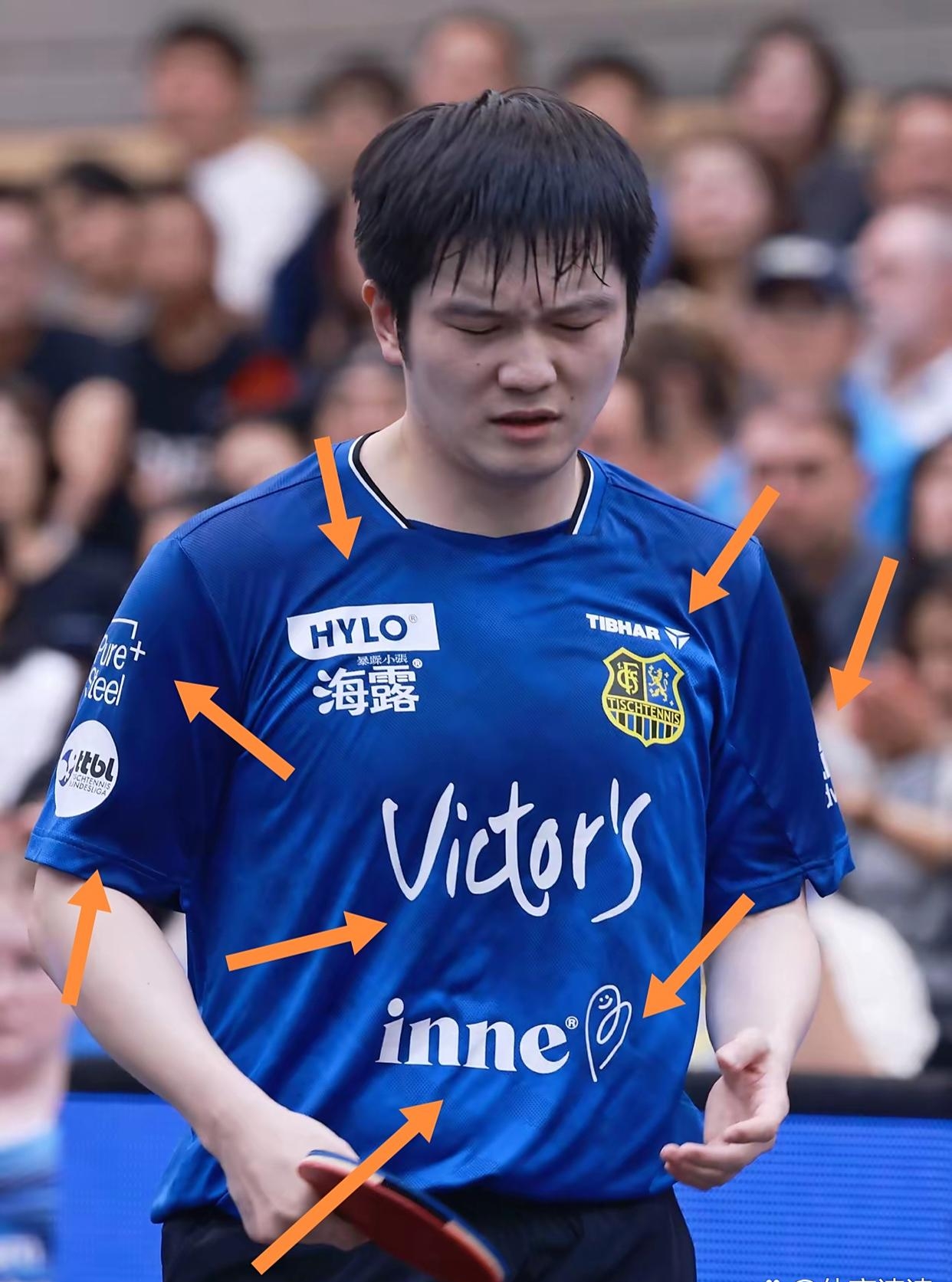 关于德甲俱乐部苦求樊振东留下，开价吓退国内资本，打的不是球，是商业算盘，盘活一座城的乒乓经济的信息